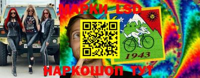 крисы Гудермес