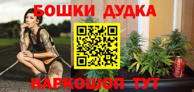 крисы Гудермес