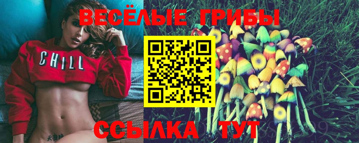 Орёл  Галлюциногенные грибы прущие грибы  Вход с VPN 