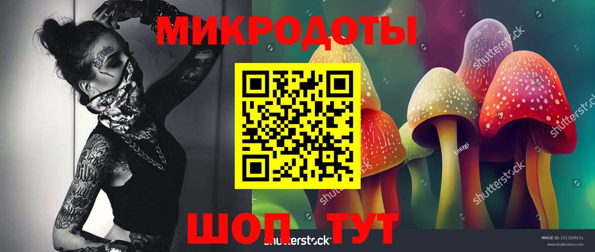 Галлюциногенные грибы Psilocybine cubensis Орёл